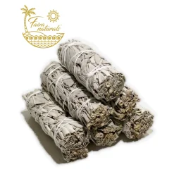 Discount HippieChic Sauge blanche - California White Sage Farm